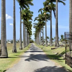 Lion Castle Plantation Great House*, Barbados
