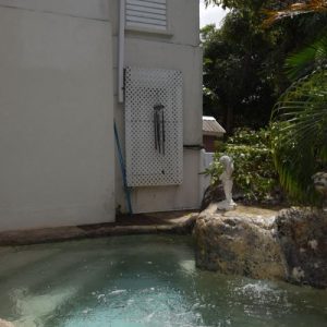 Rowans Park 51*, Barbados