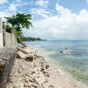 Mullins Reef, Barbados