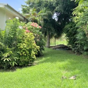 Old Chancery Lane 70, Barbados